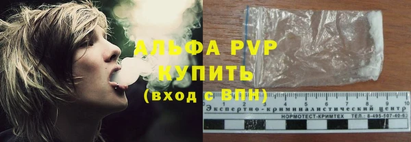 сатива Магас