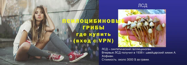 сатива Магас