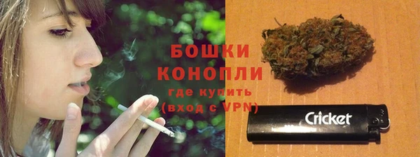 сатива Магас