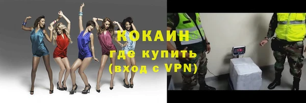 прущие грибы Медвежьегорск