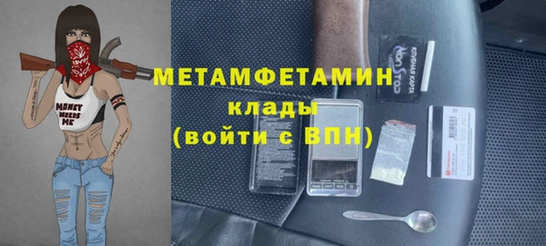 прущие грибы Медвежьегорск