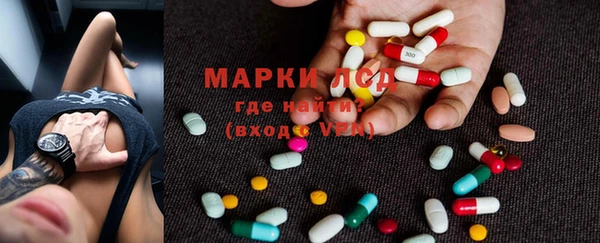 прущие грибы Медвежьегорск