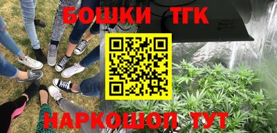 дмт Кинель