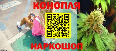 не бодяженный Кингисепп